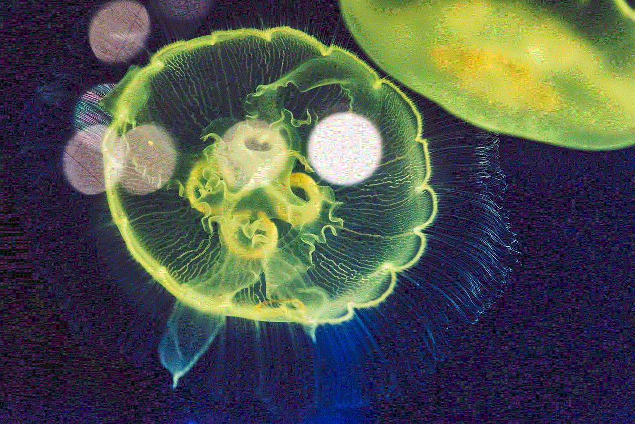 Jellyfish Close Up