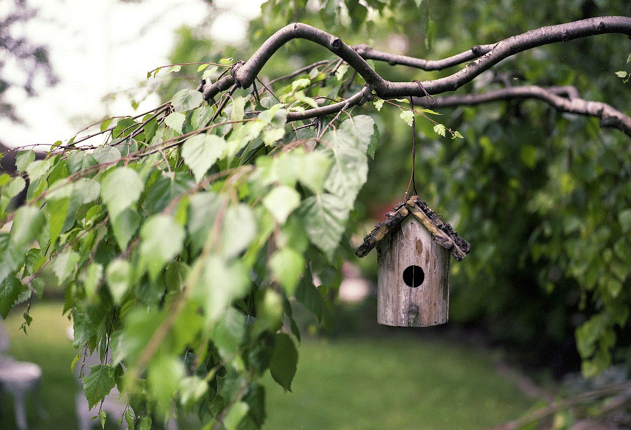 Bird Feeder Branches