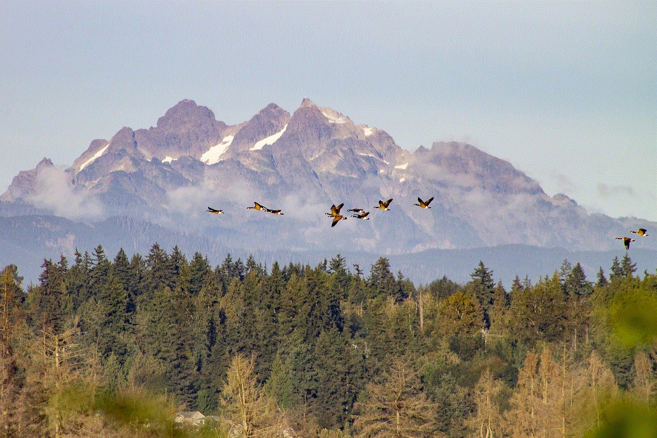 Mountains Flying Geese