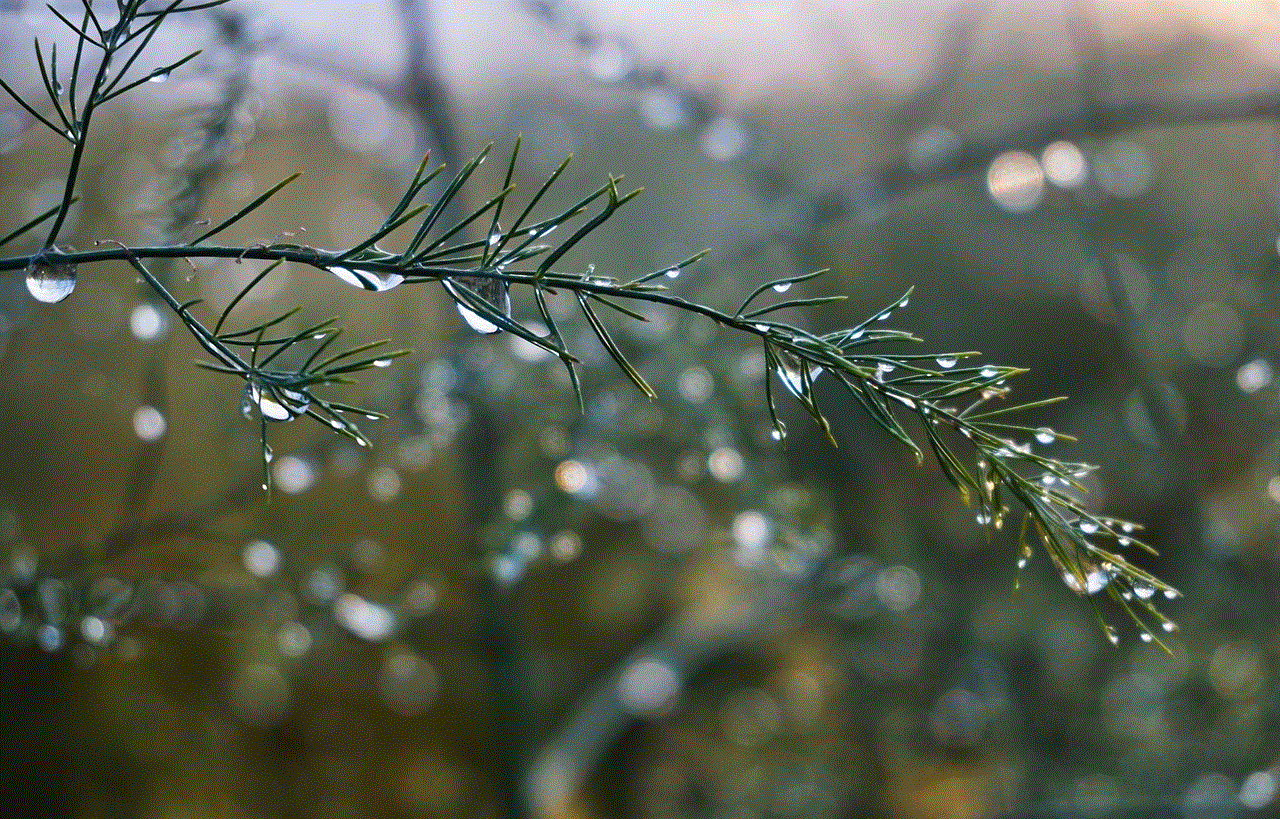 Bokeh Blade Of Grass