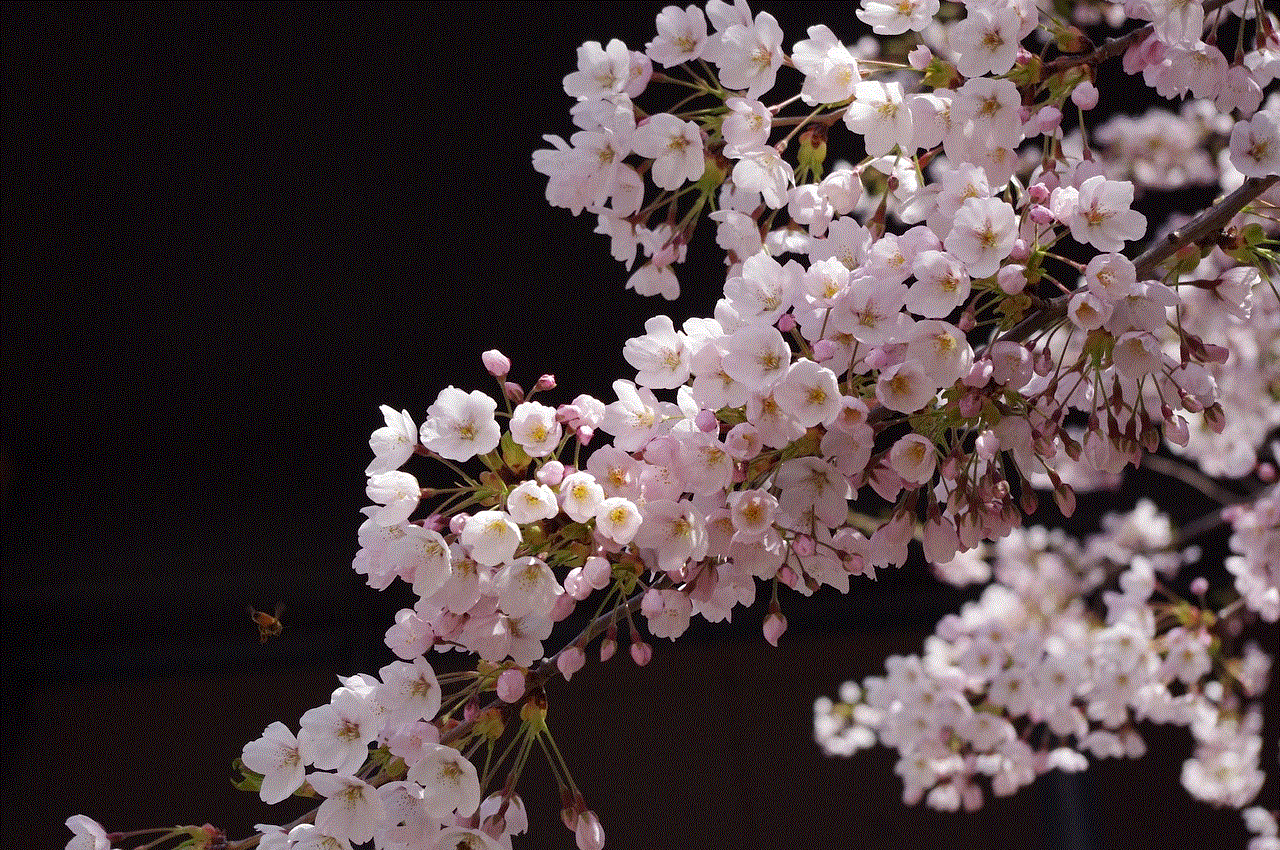 Sakura Nature