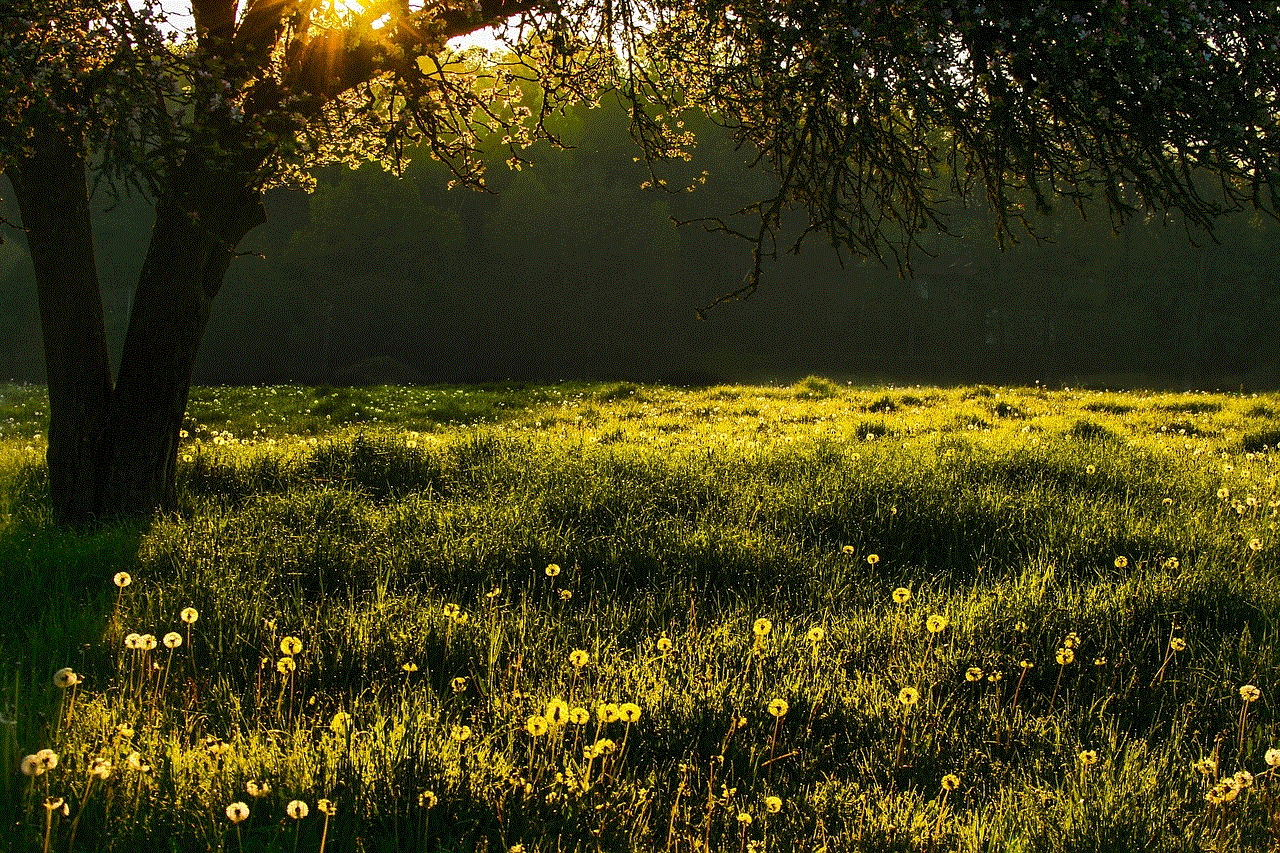 Meadow Flower Wallpaper