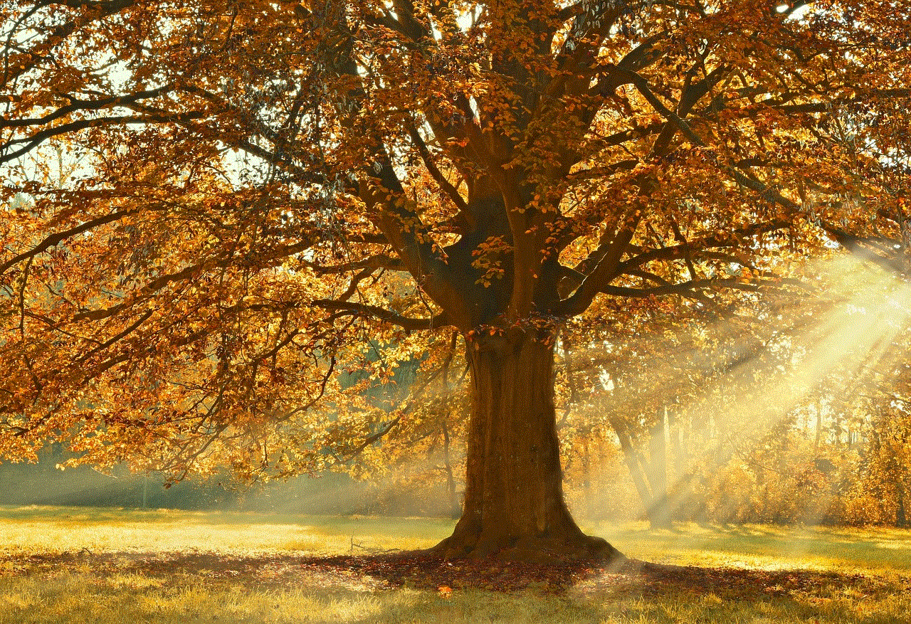 Tree Deciduous Tree