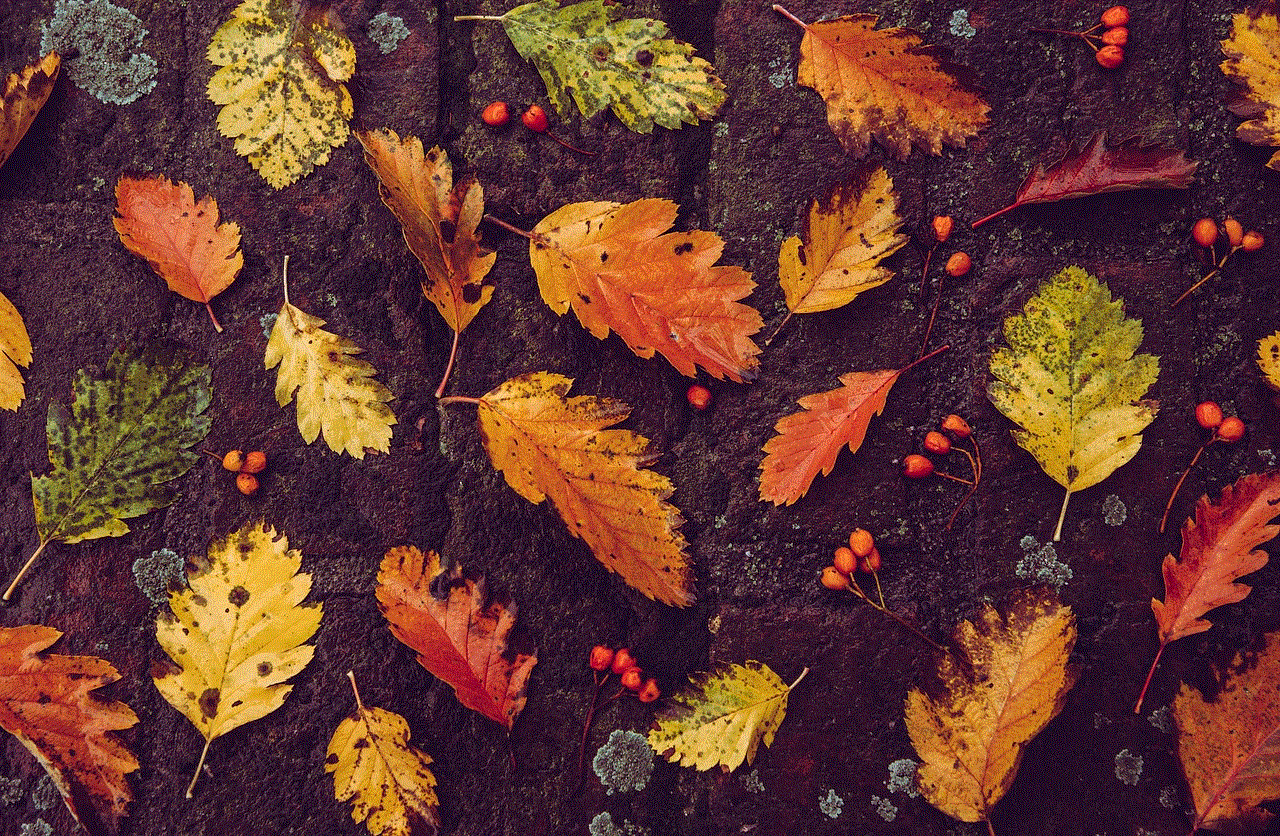 Autumn 4K Wallpaper 1920X1080