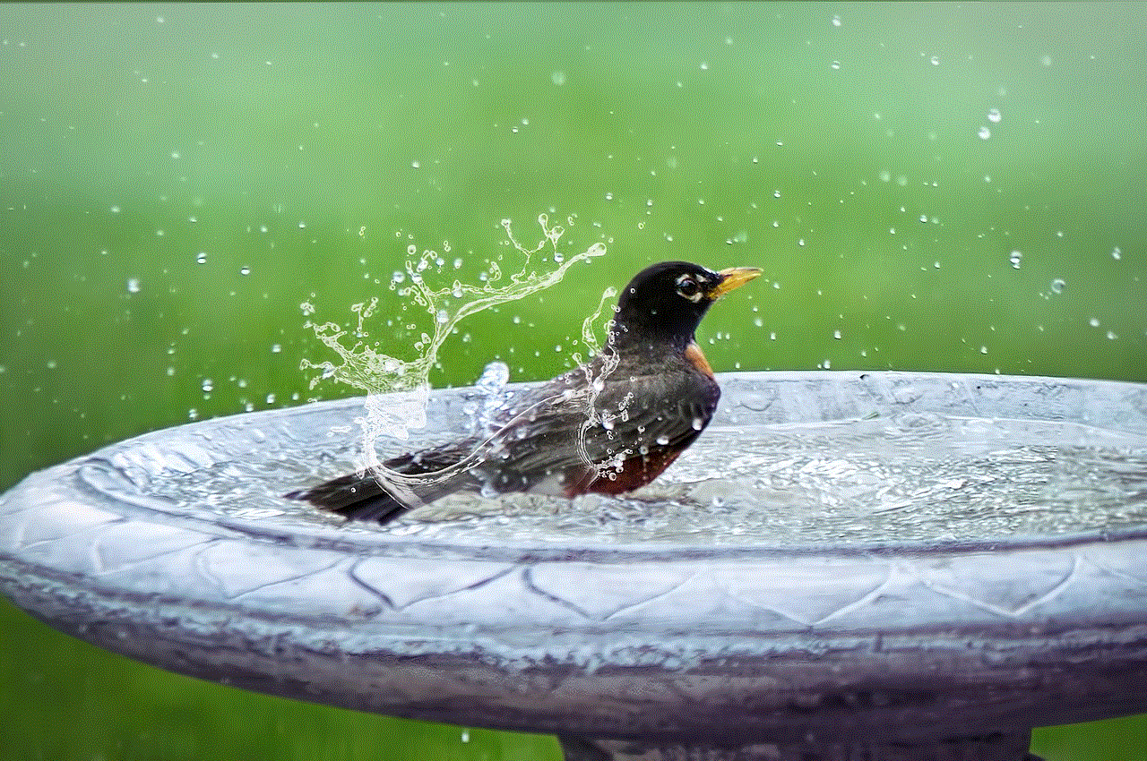 Bird Bath Splashing