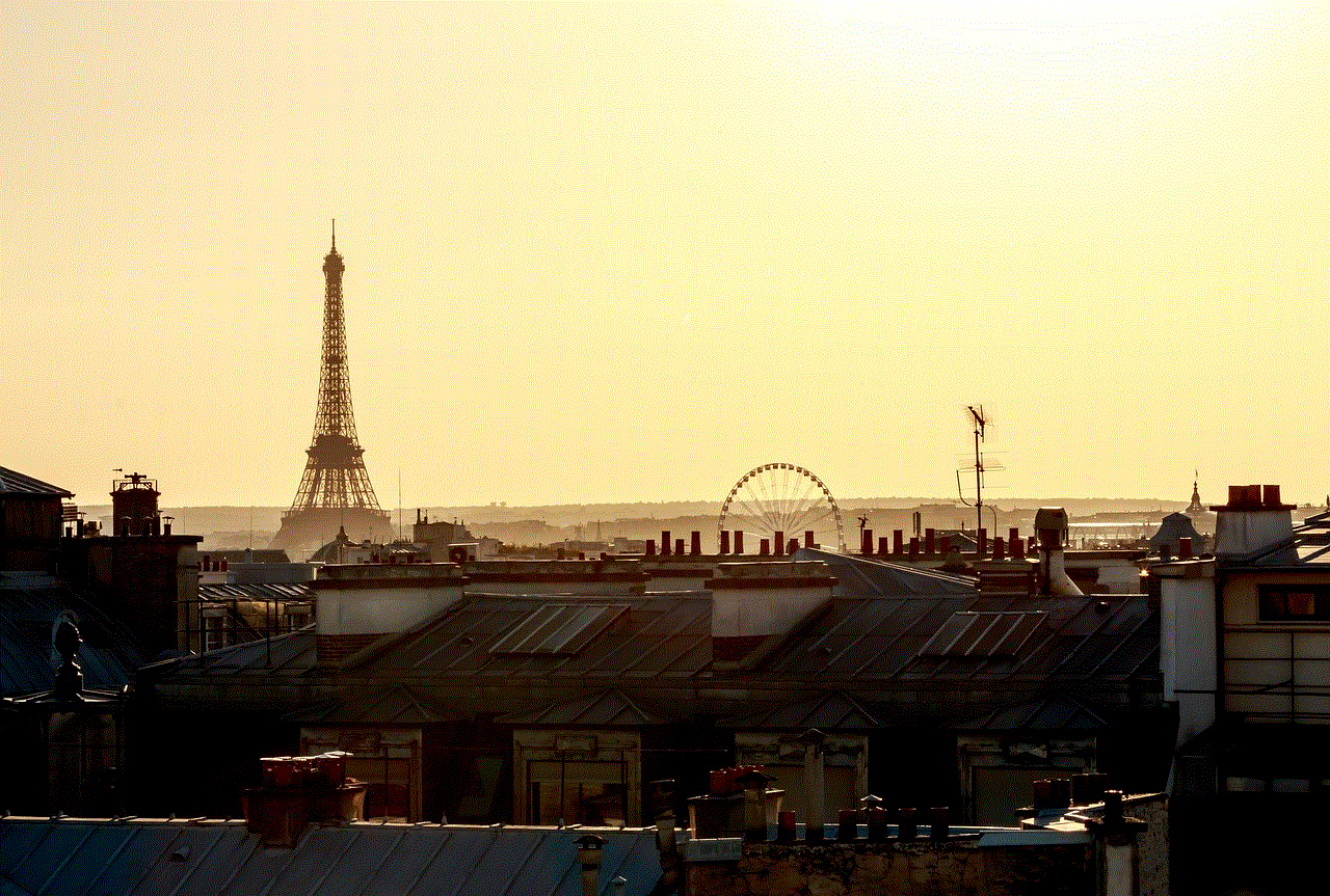 Paris Rooftop