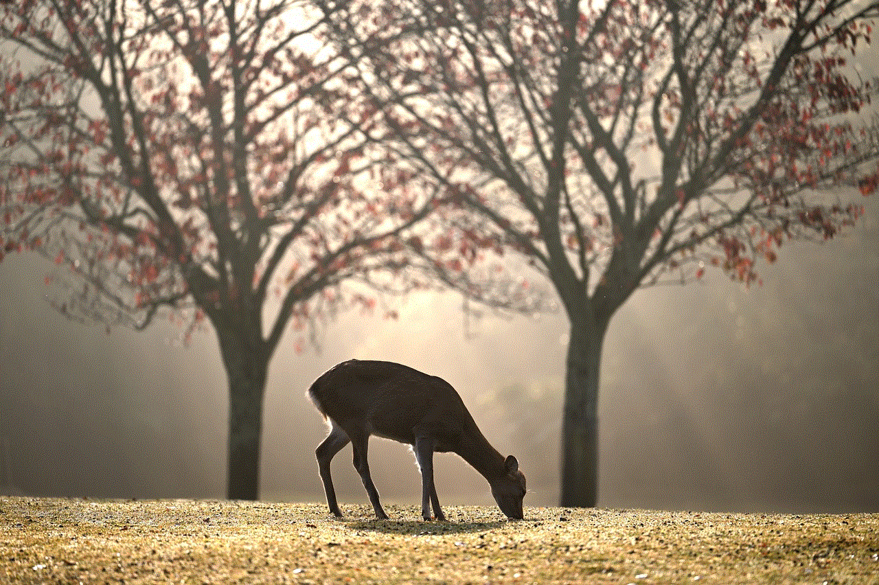 Deer Grazing