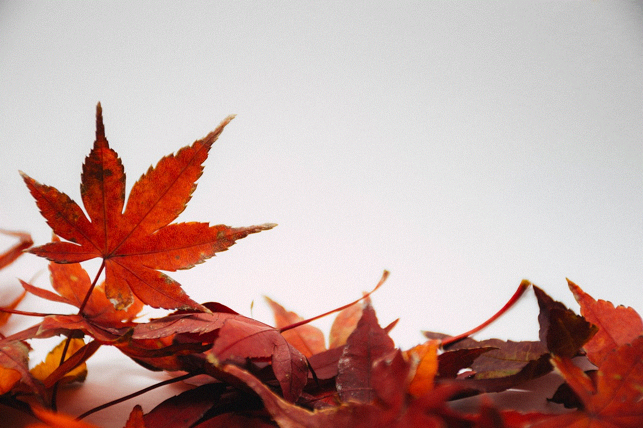 Leaves Autumn