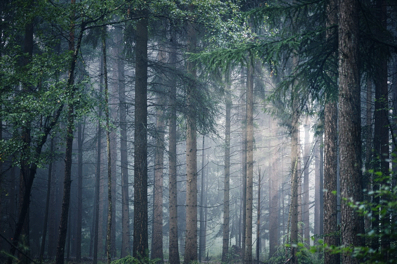 Forest Trees