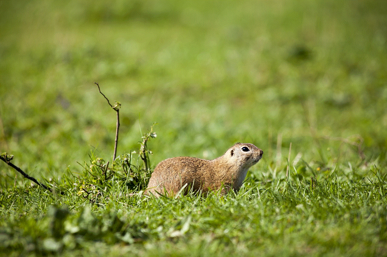 European Ground Squirrel Rodent