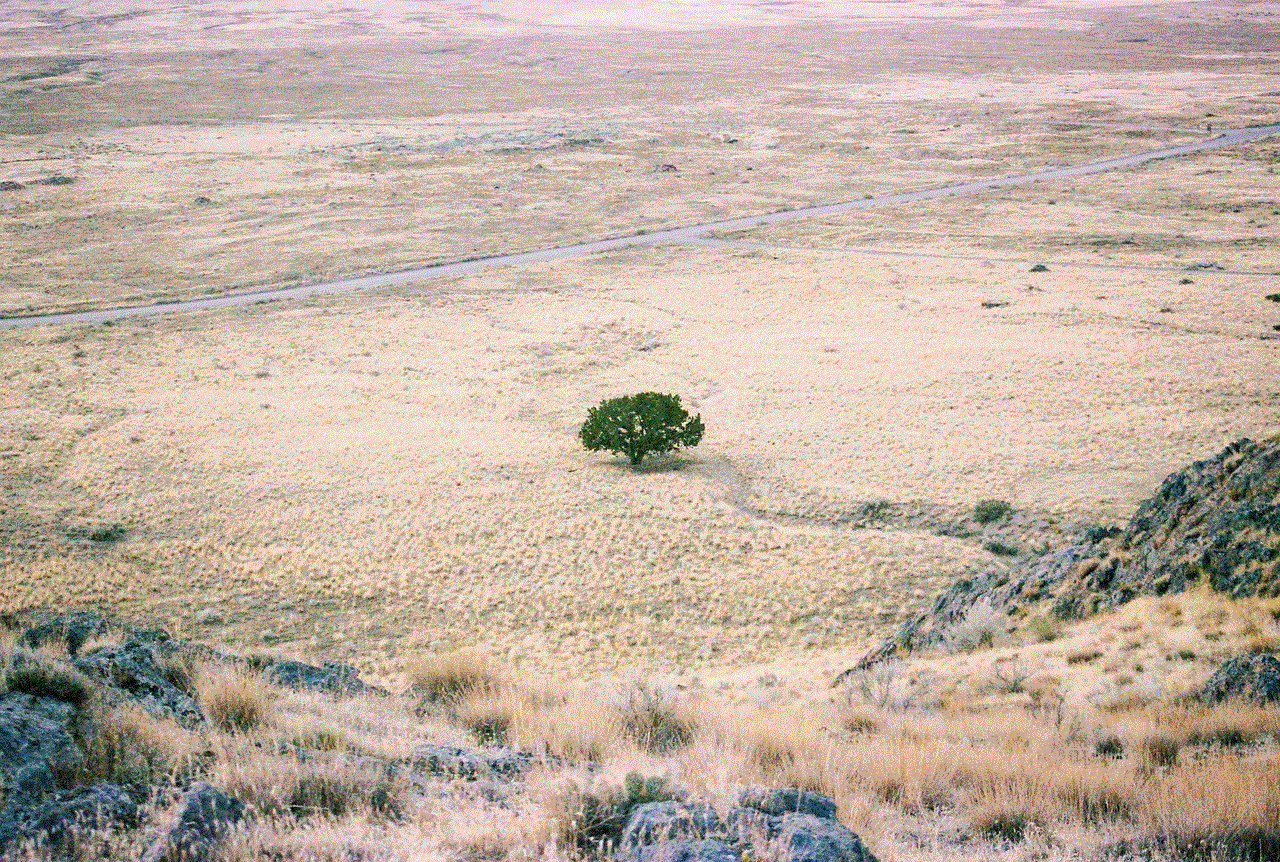Desert Arid Land