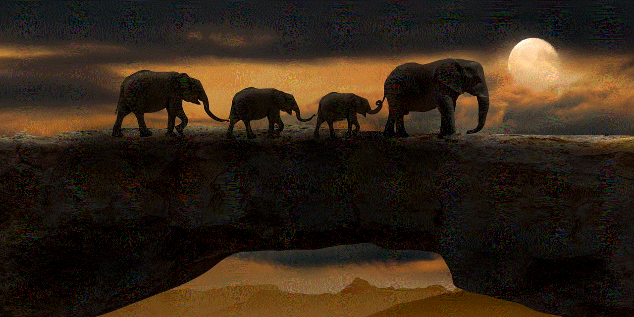 Elephants Animals