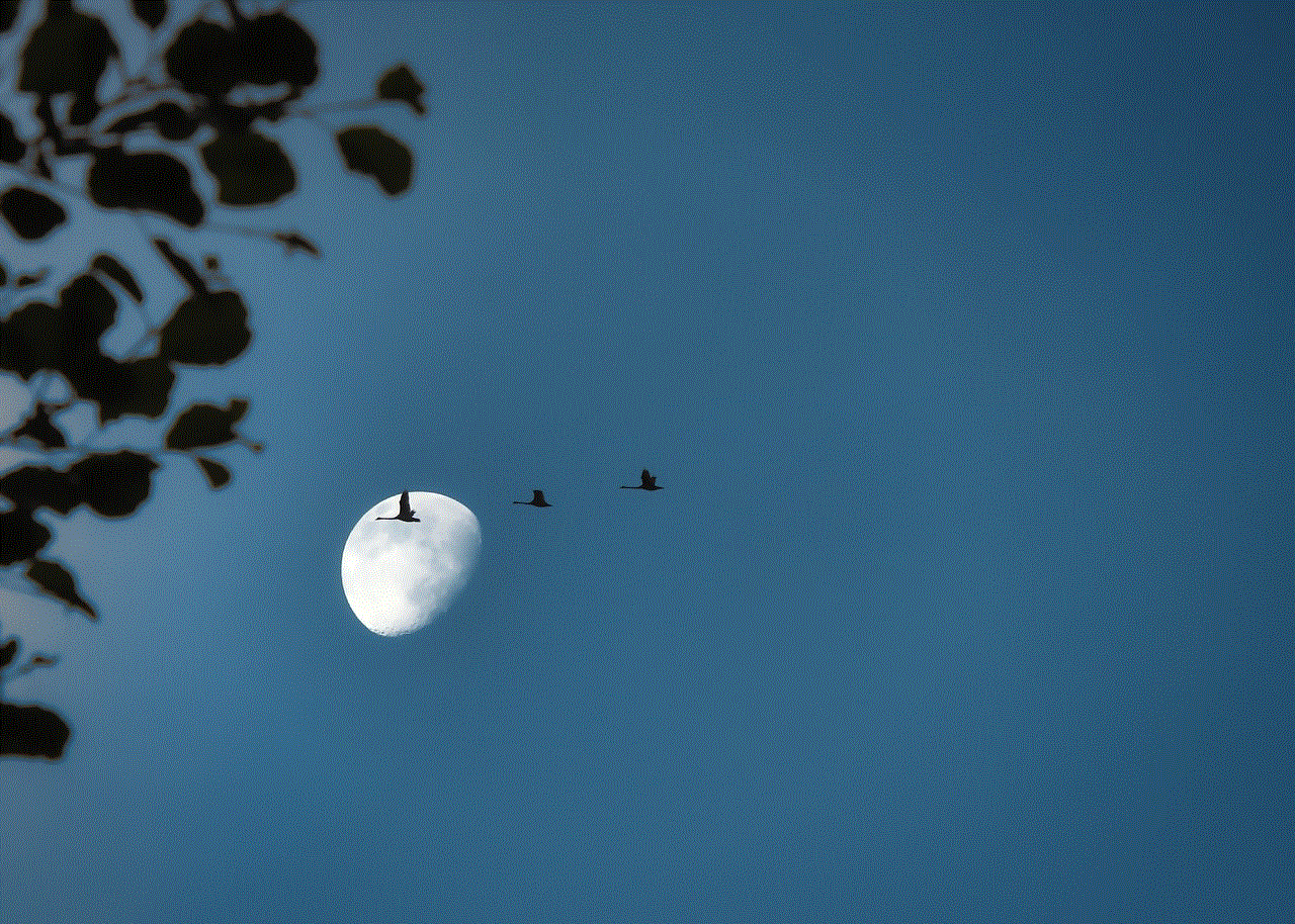 Migratory Birds Cranes Migratory Birds Cranes