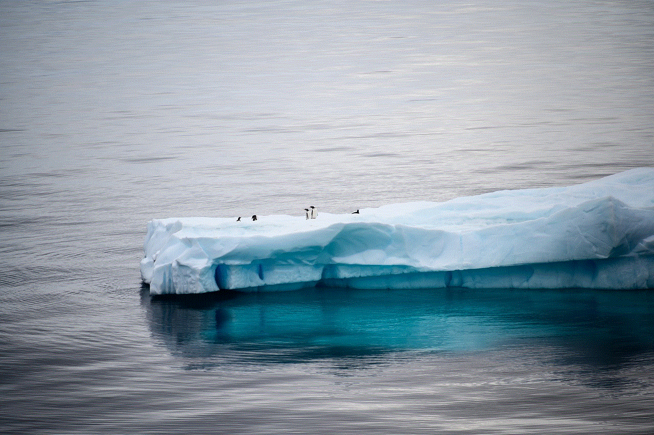 Antarctica Iceberg