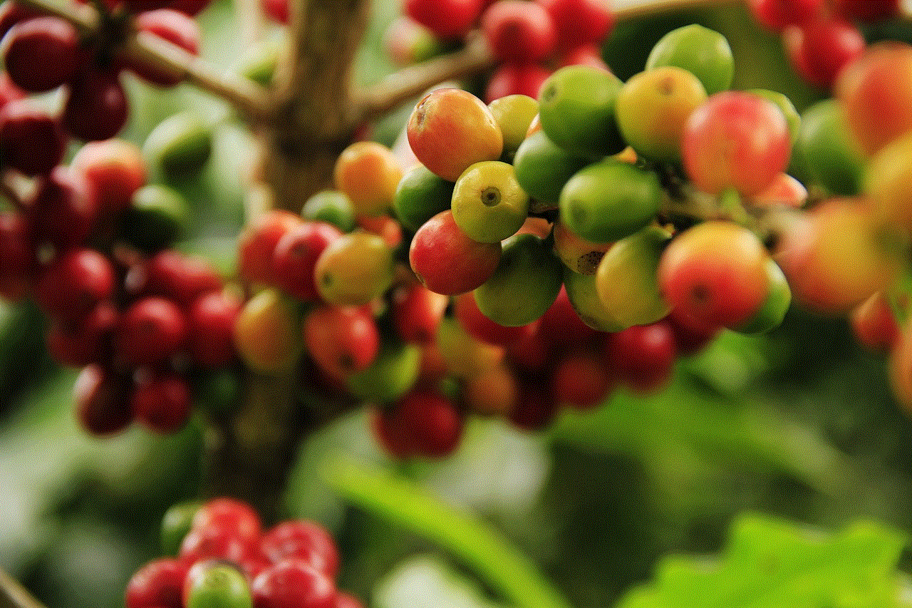 Coffee Grains Mature