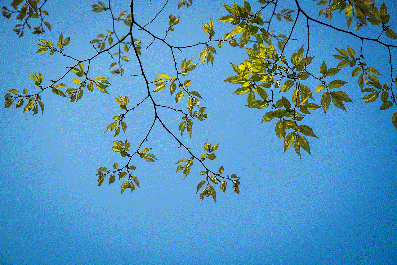 Leaves Free Wallpaper