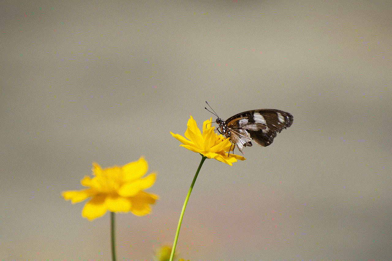 Butterfly Flower Background