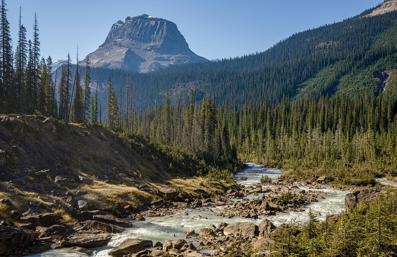 River Trees