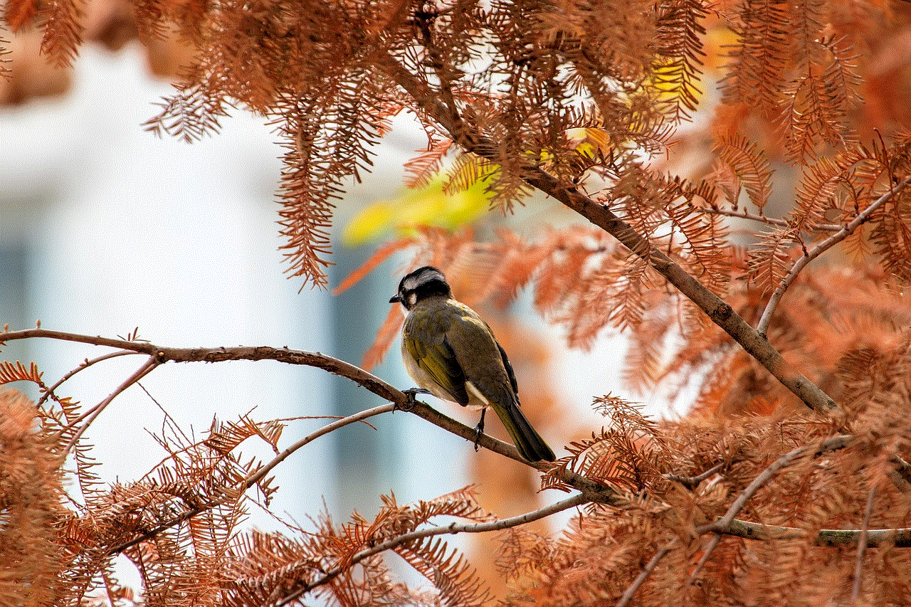 Bird Autumn