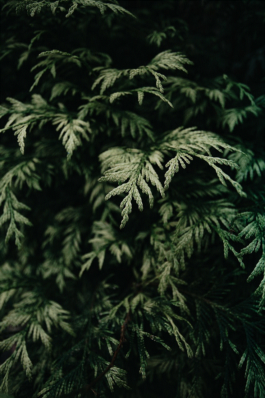 Leaves Plants