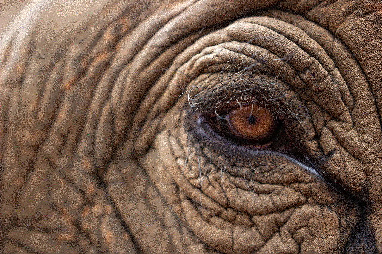 Elephant'S Eye Elephant
