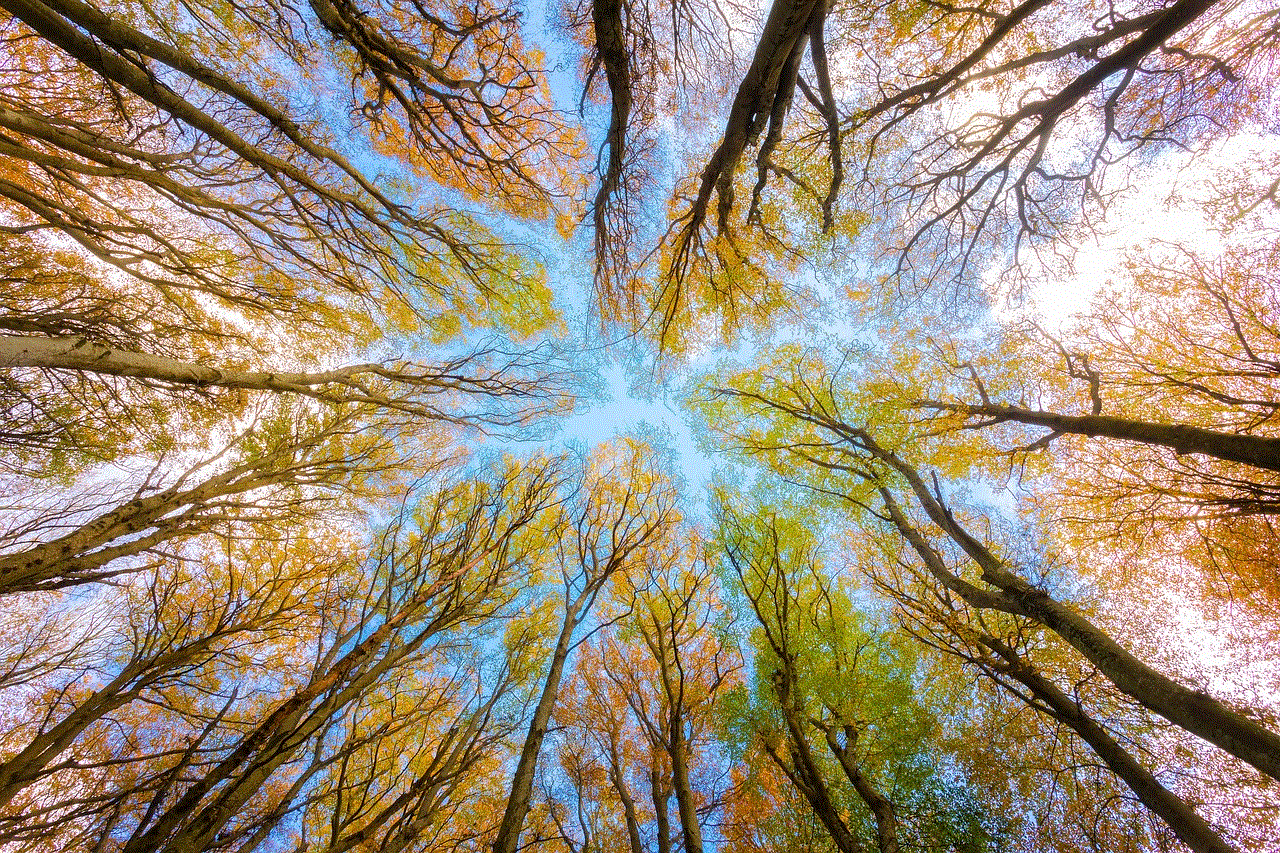 Trees Tree Canopy