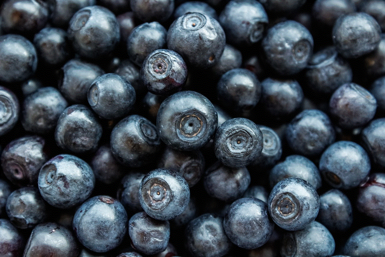 Blueberry Berry