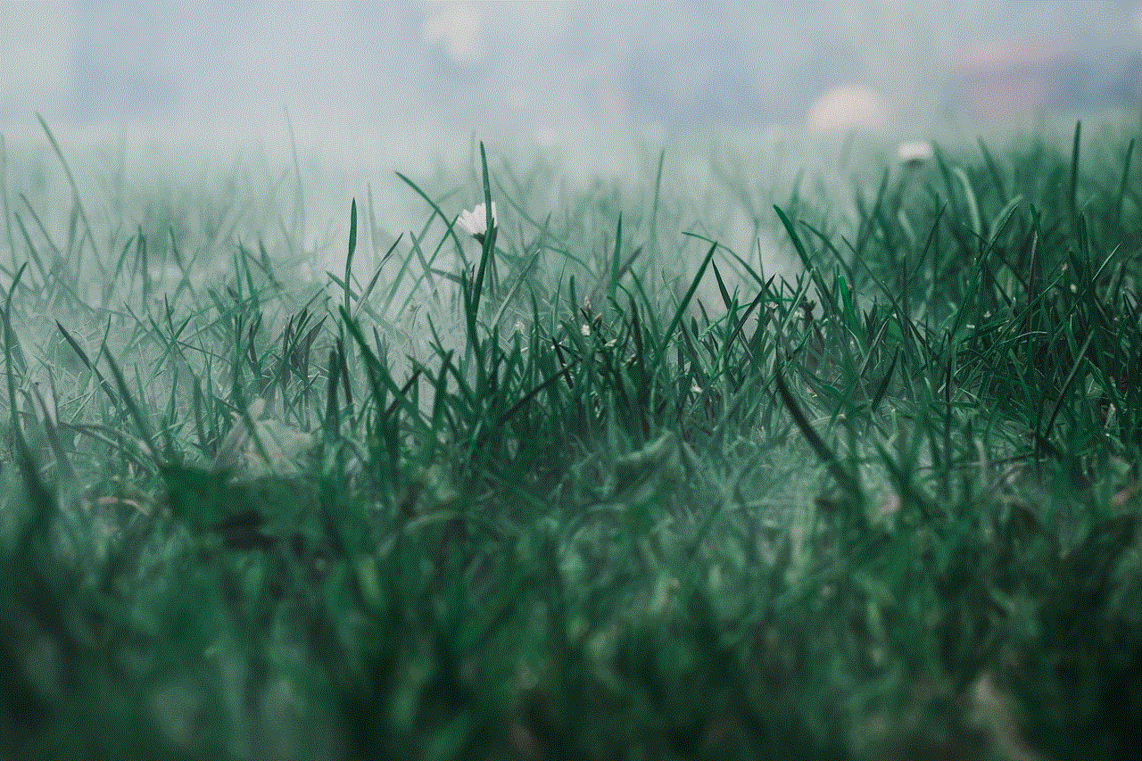 Meadow Fog