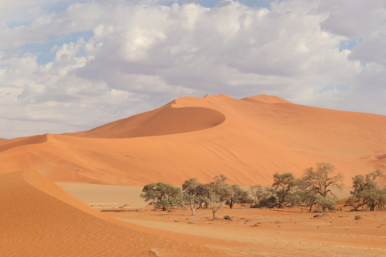 Sossusvlei Namib