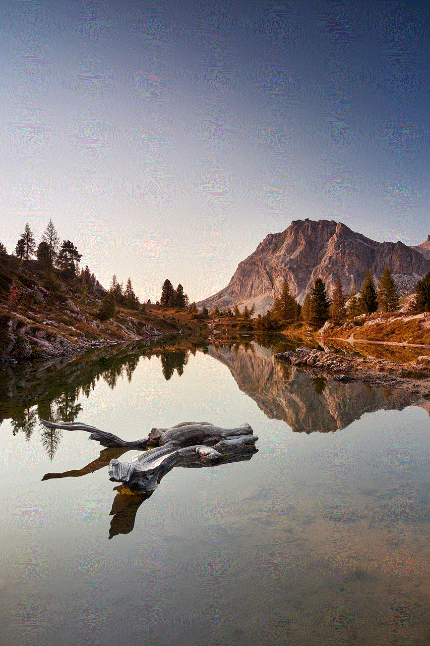 Mountains Trees