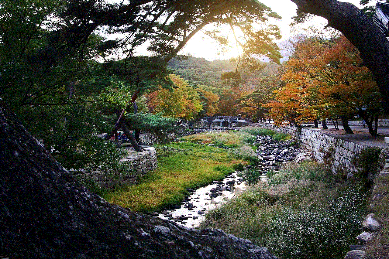 Nature Autumn