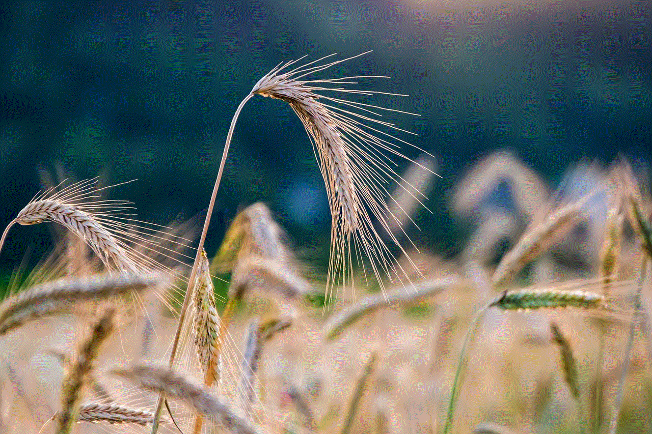 Rye Grain