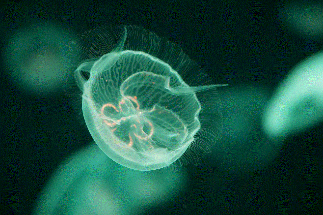 Jellyfish Underwater