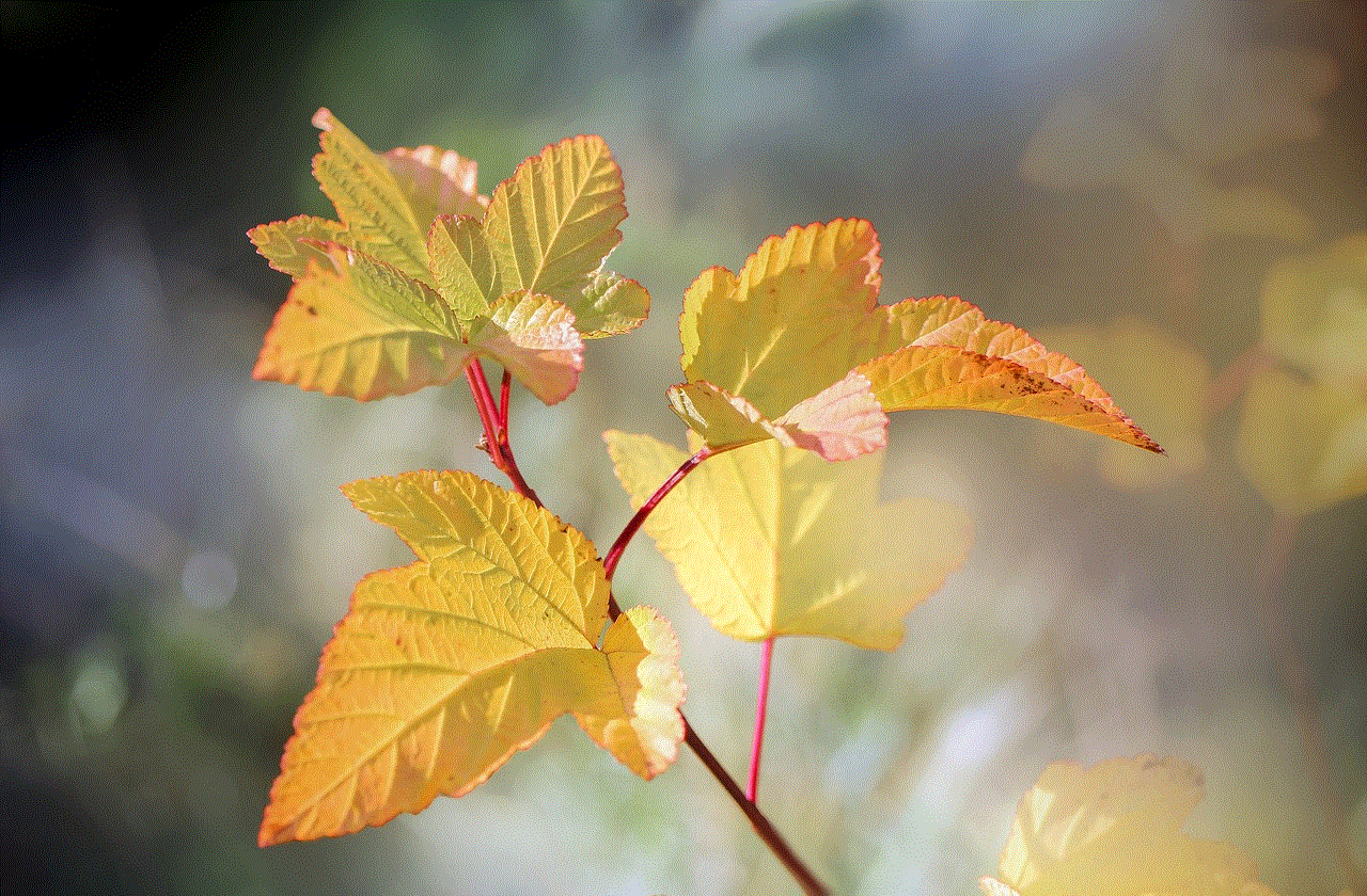 Leaves Plant