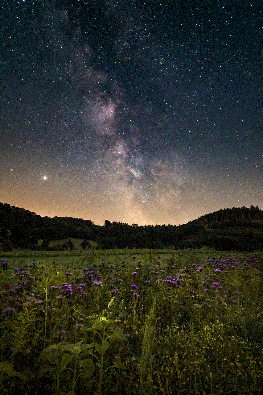 Starry Sky Flower Meadow