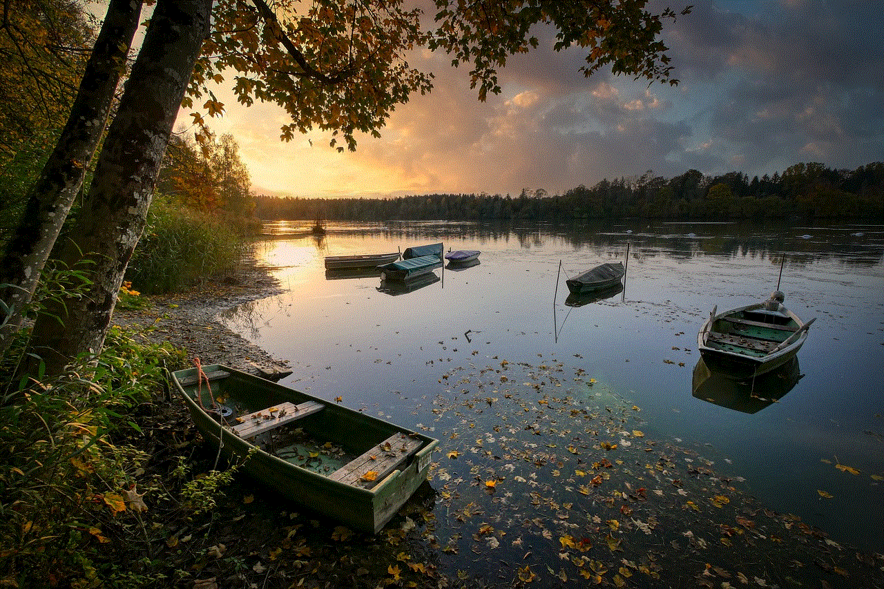 Lake Boats