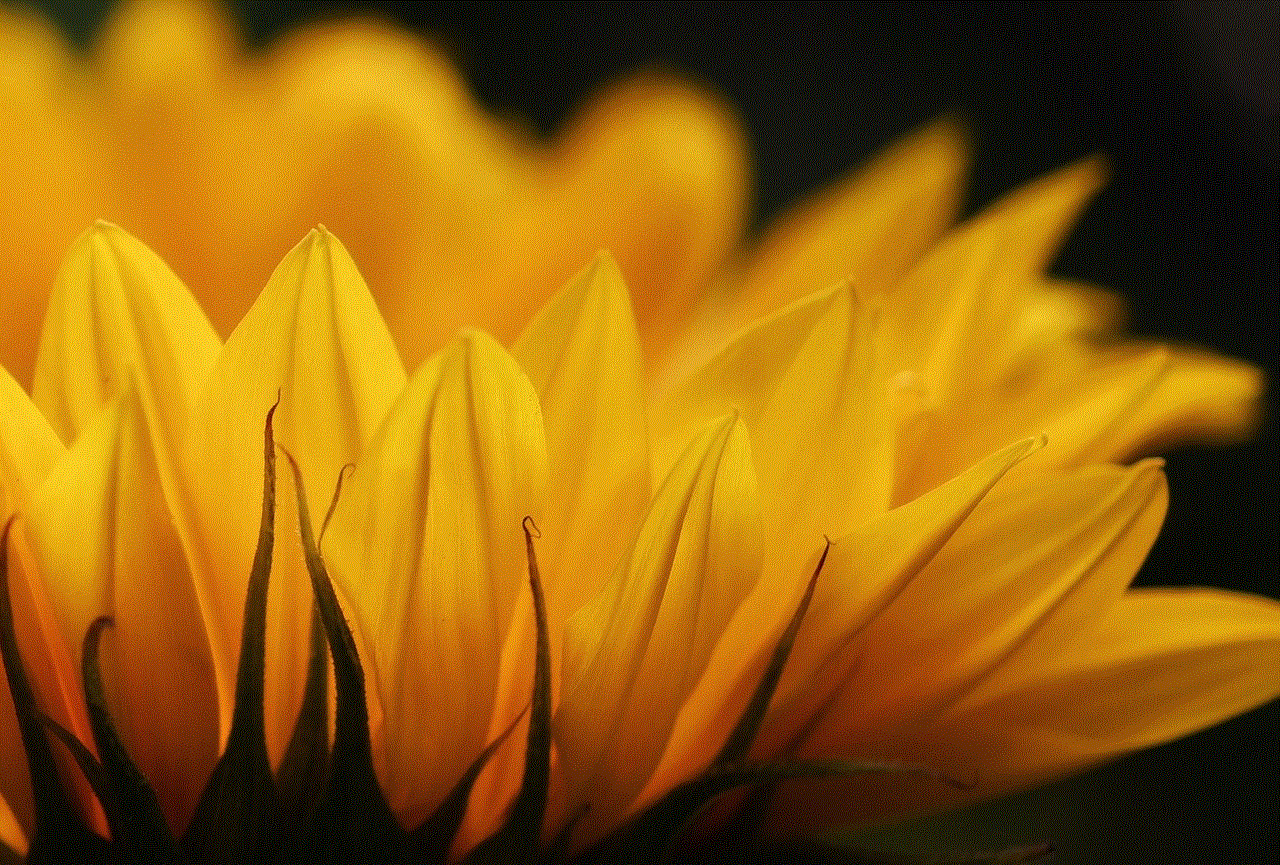 Sunflower 4K Wallpaper