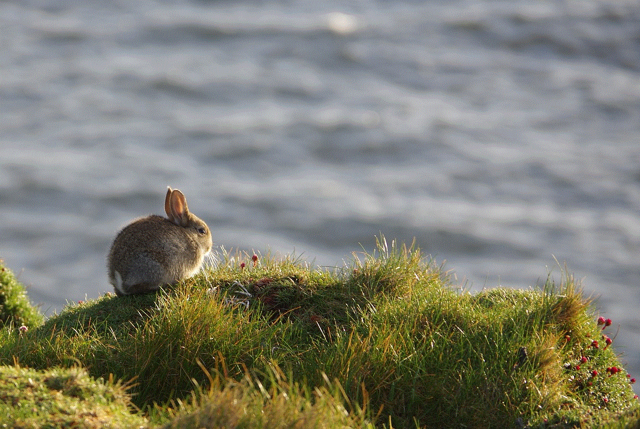 Rabbit Grass