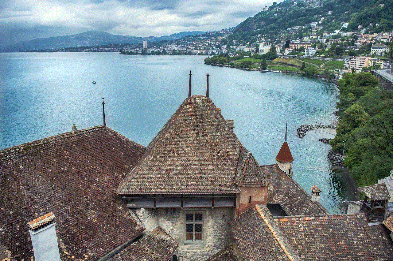 Castle Roof