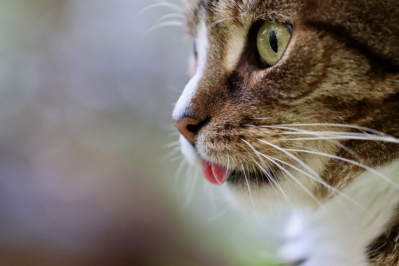 Cat Cat Tongue