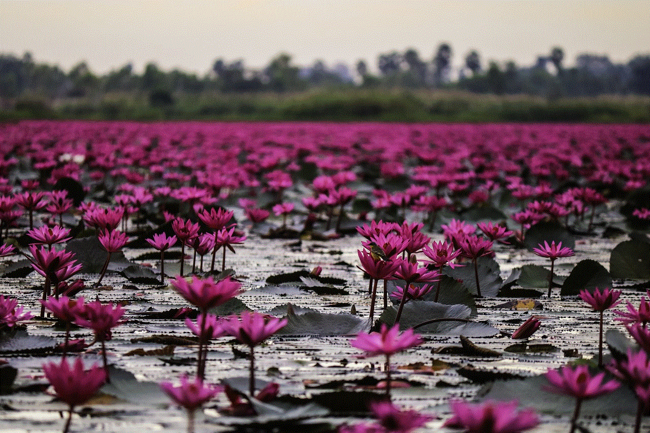 Lake Flowers
