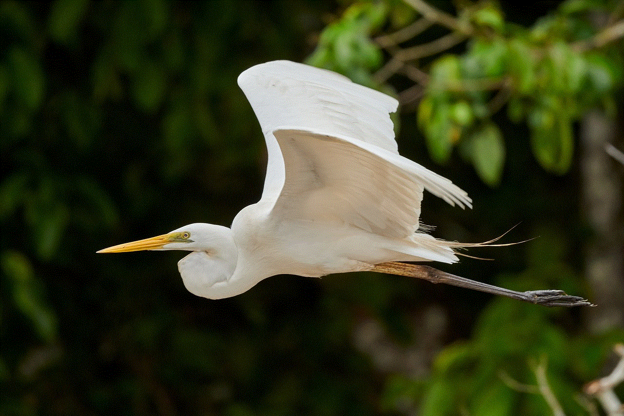 Great Egret Heron