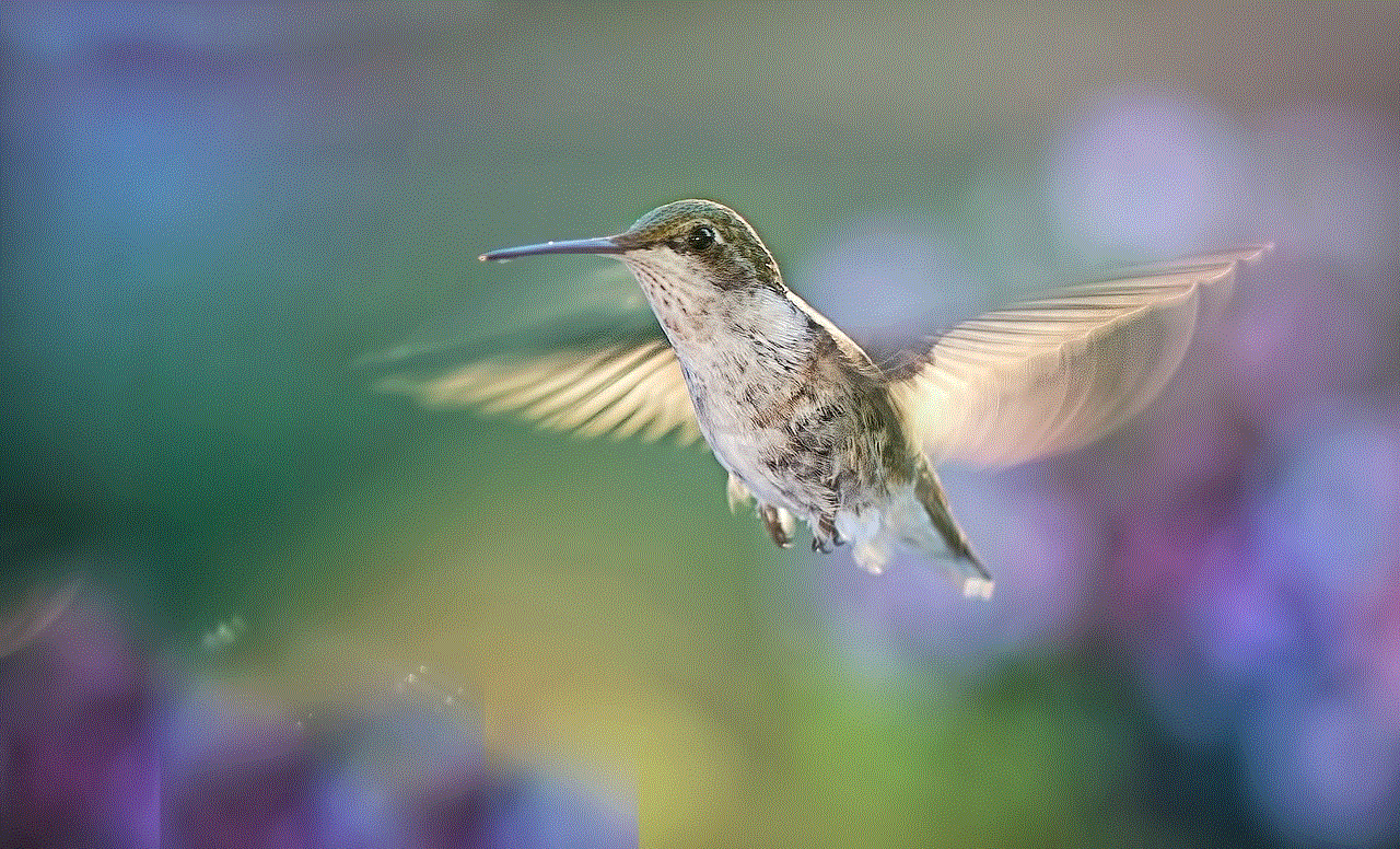 Hummingbird Flying