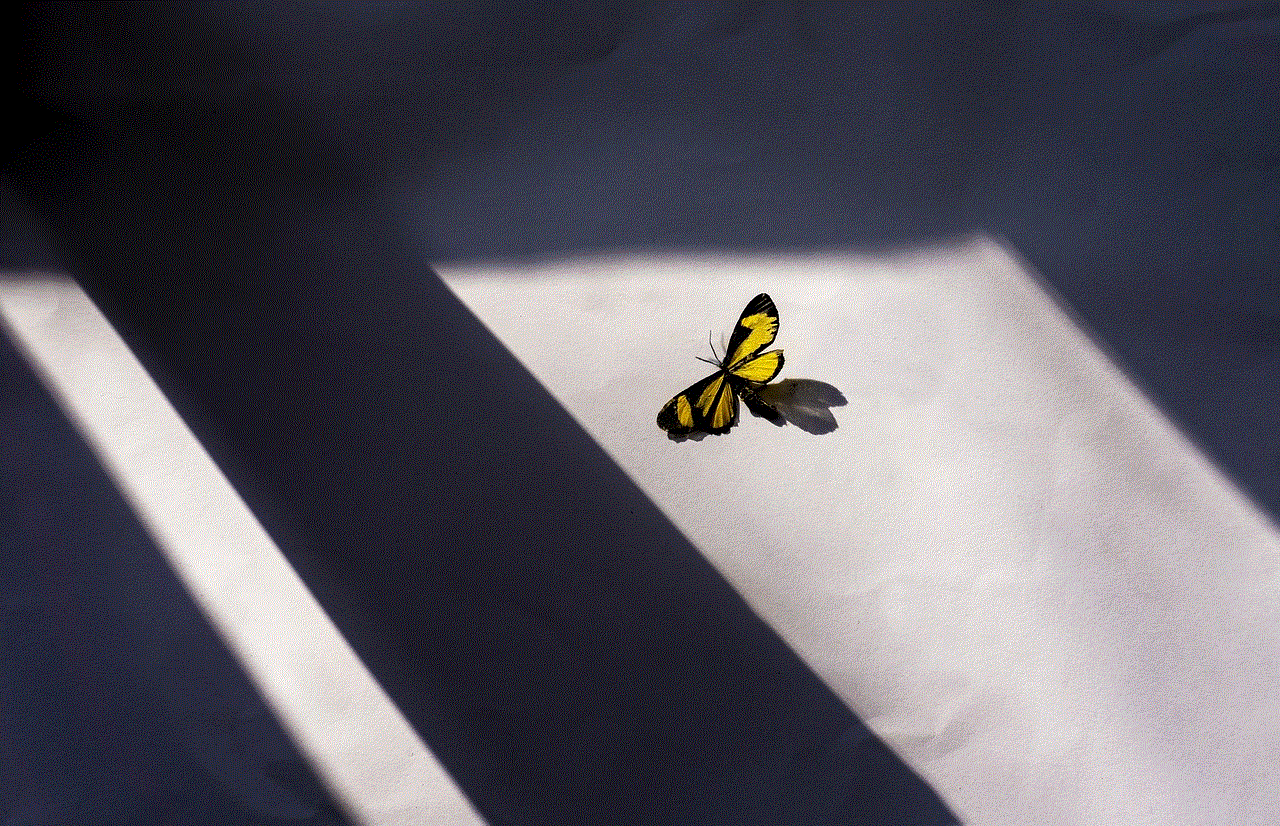 Butterfly Window