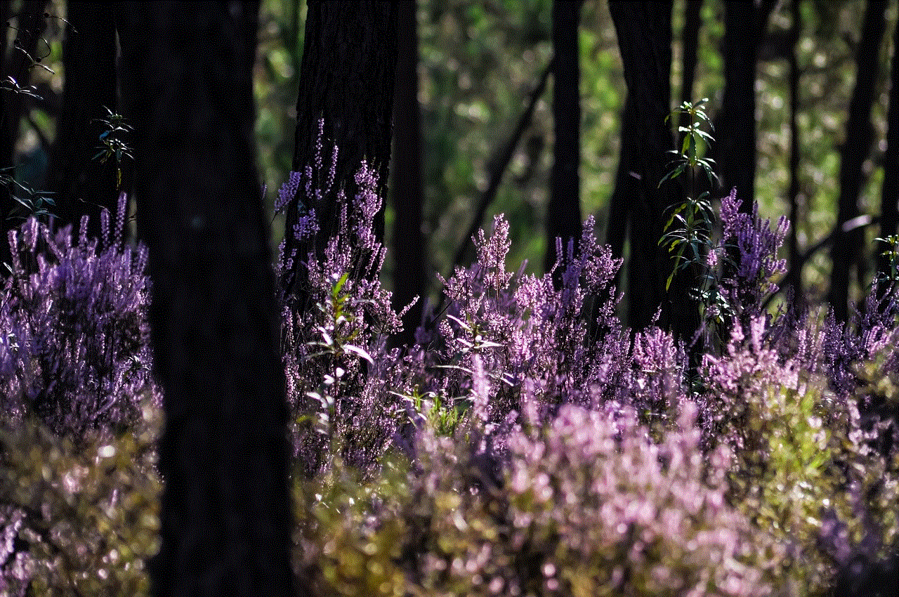 Forest Heather