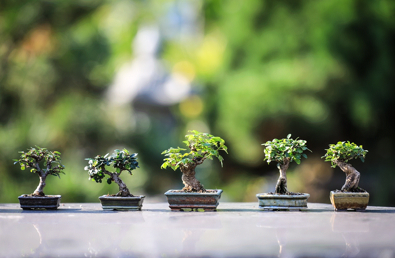 Bonsai Wood Texture