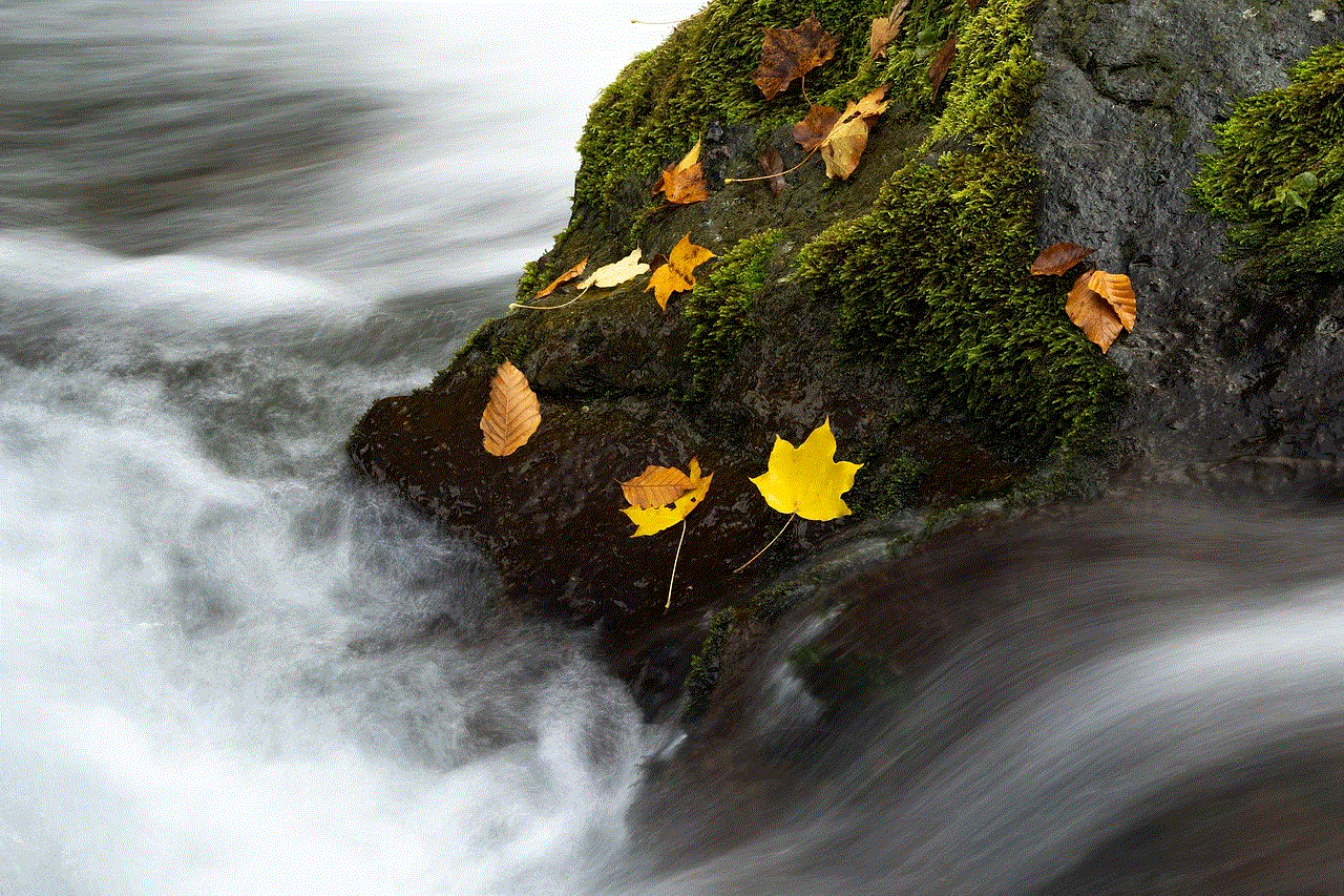 Landscape Autumn