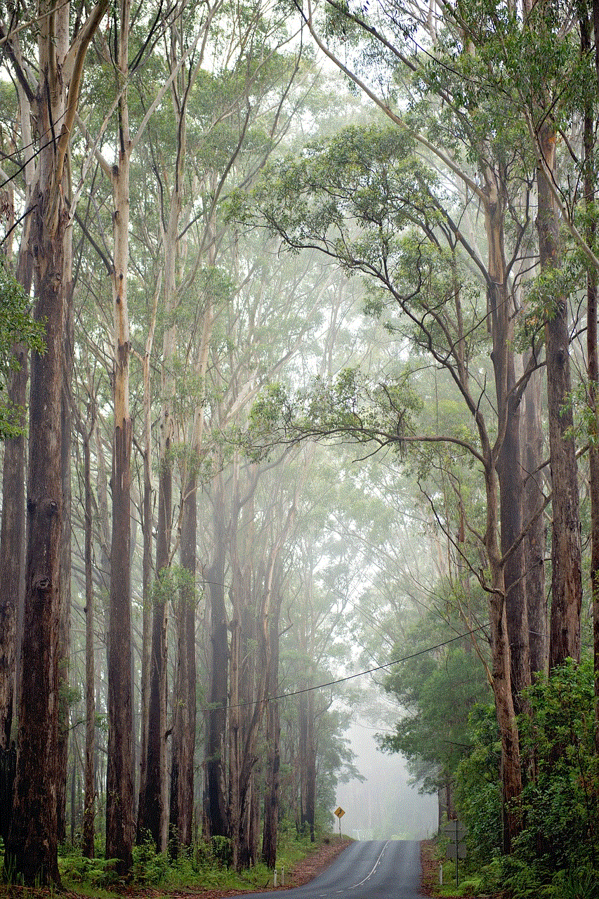 Trees Nature