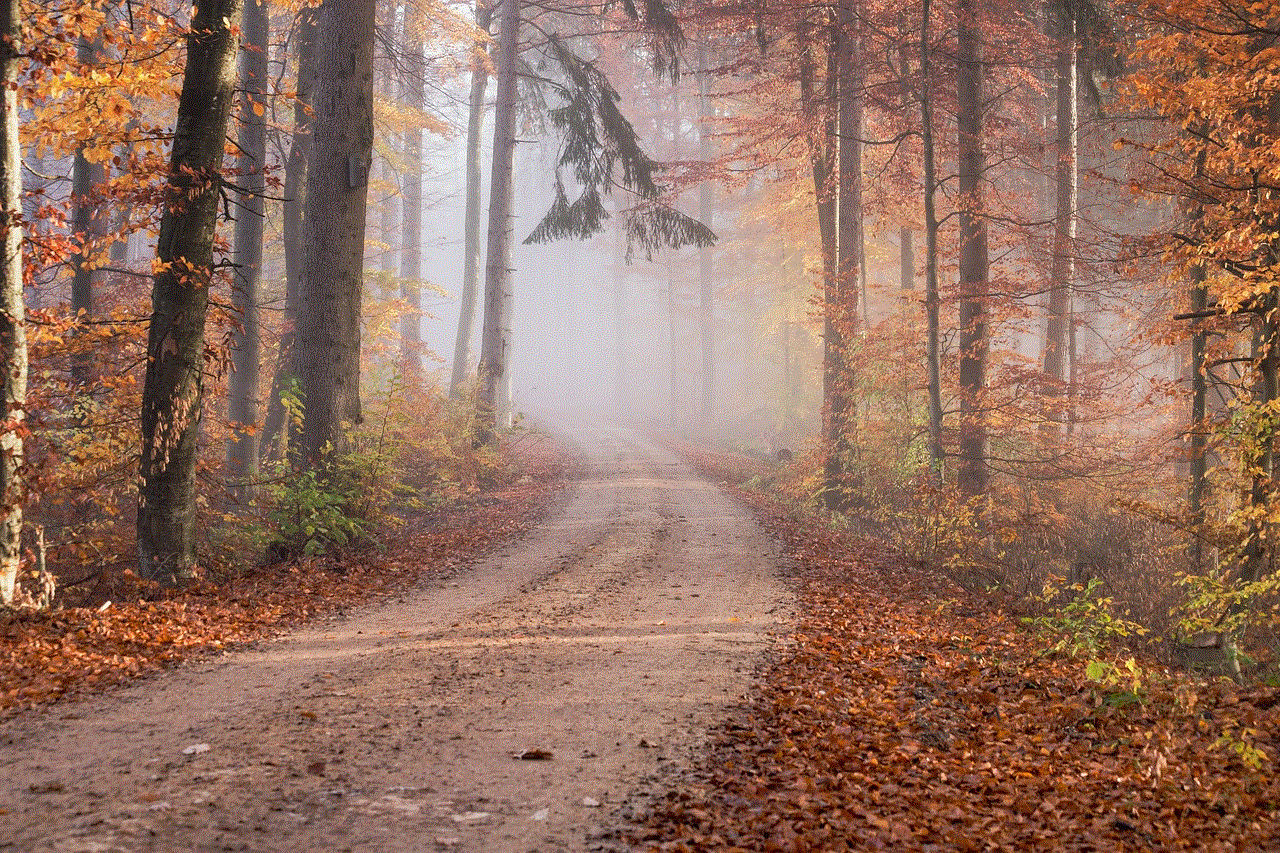 Road Forest
