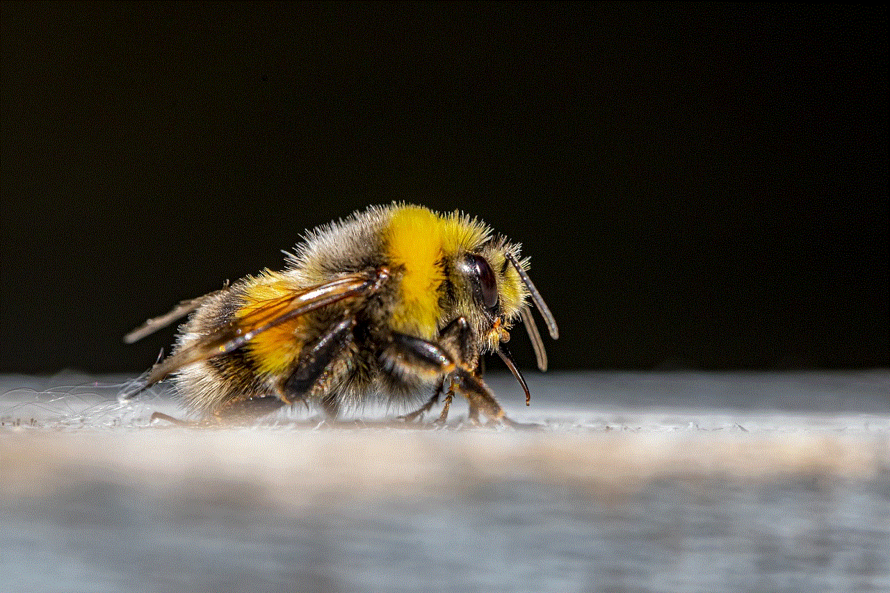 Bumble Bee Bee